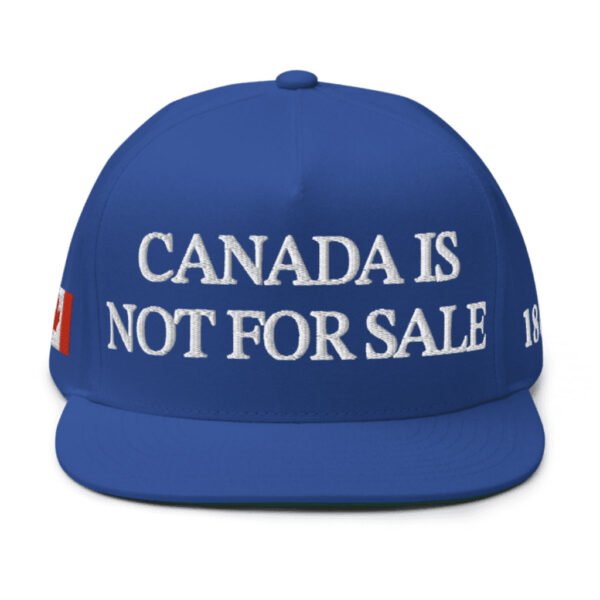 Canada is Not for Sale 1867 Flat Bill Cap