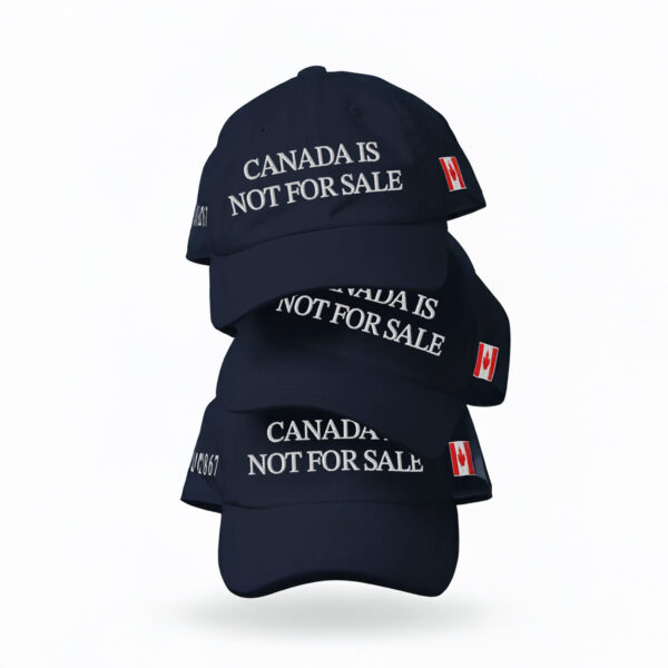 Doug Ford takes jab at Donald Trump with 'Canada is not for sale' hat