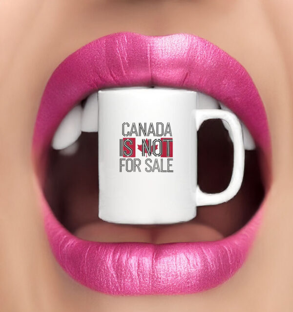 Canada Is Not For Sale - Perfect for National Holidays Mug