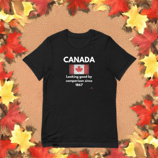 Canada: Looking Good By Comparison Since 1867 T-Shirt